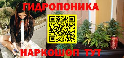 мдпв Шелехов