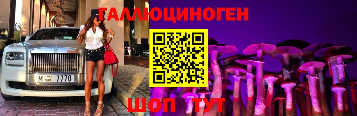 Псилоцибиновые грибы Cubensis Асбест